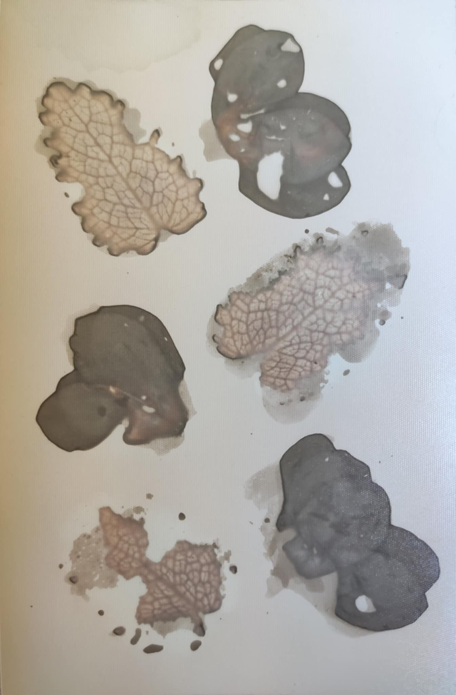 Bouquet d'automne – Menthe et Cyclamen de Naples