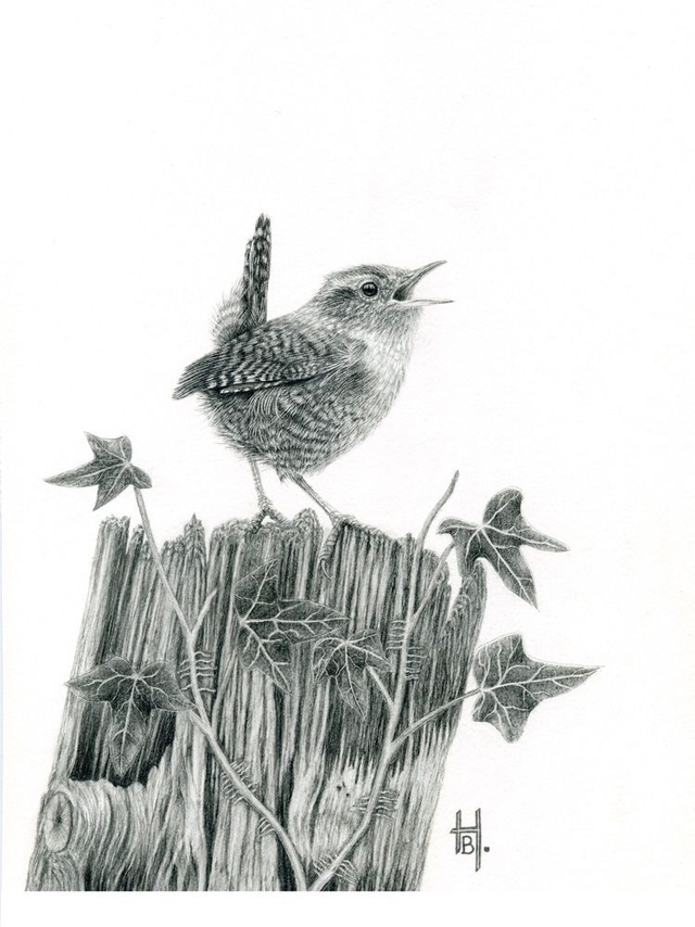 Still Feisty - Original framed graphite pencil drawing.