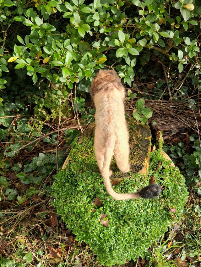 Needle Felt Lion