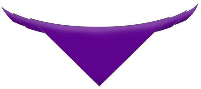 Neckerchief