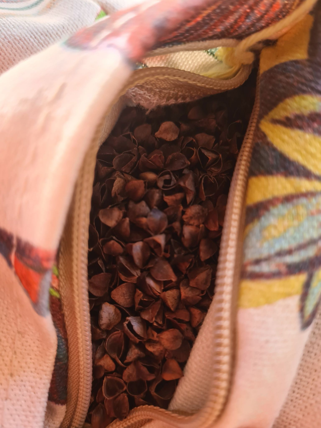 01 - Zafu - Printemps