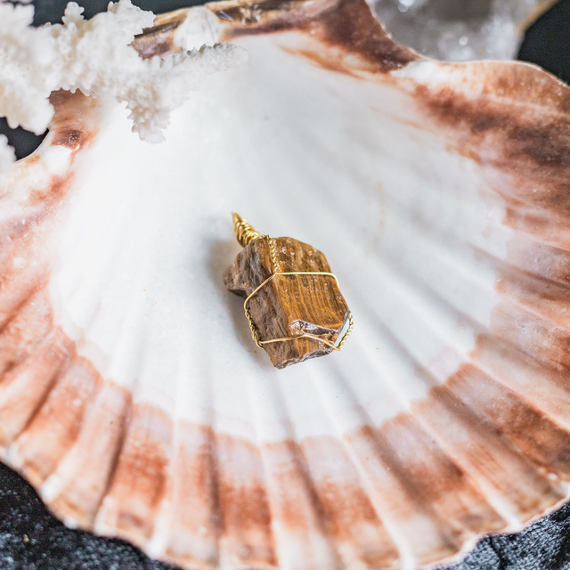 Tigers Eye Pendant Brass