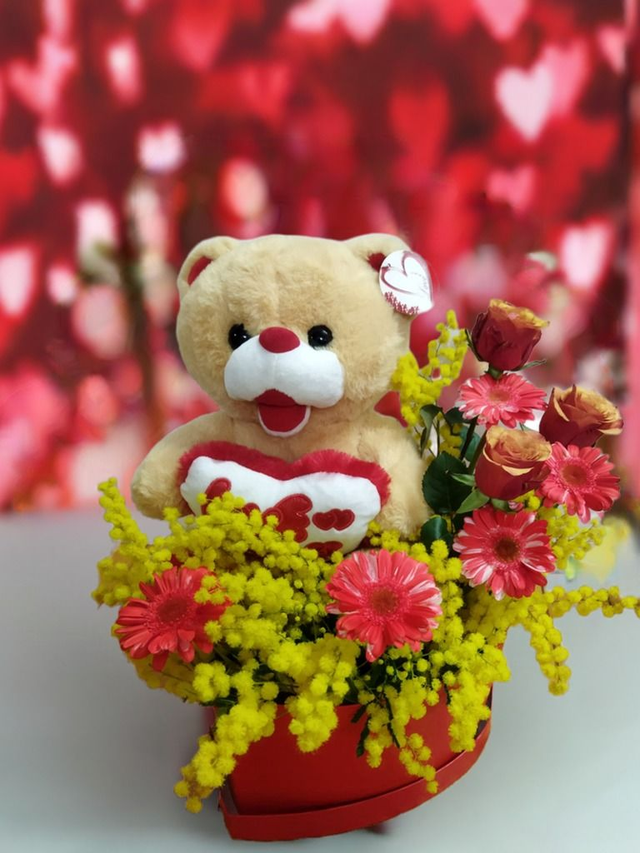 Box cuore rosso con peluche