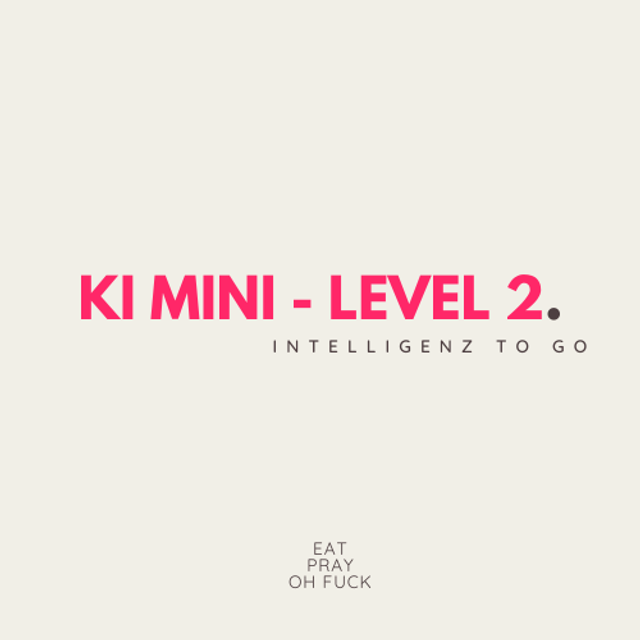 KI MINIS - INTELLIGENZ TO GO (LEVEL 2)
