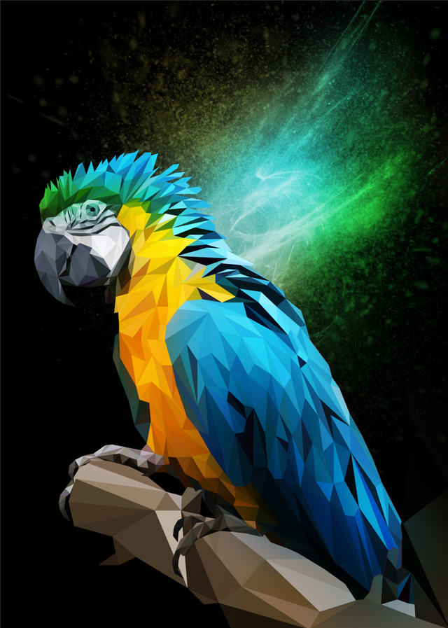 Poster Perroquet low poly