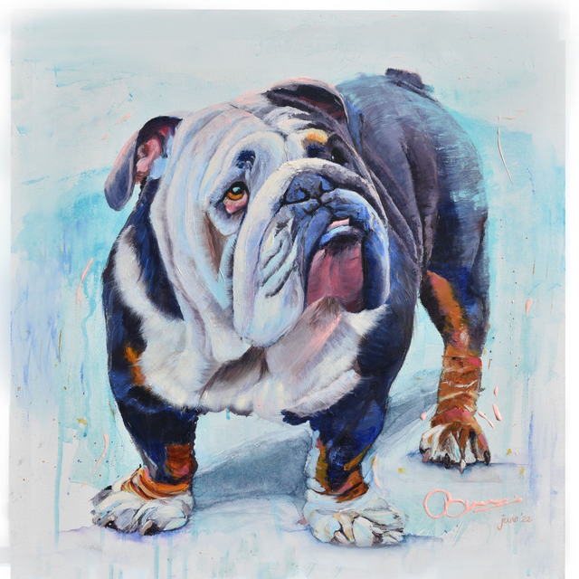 'Bulldog Archie' Limited edition print 50x50cm