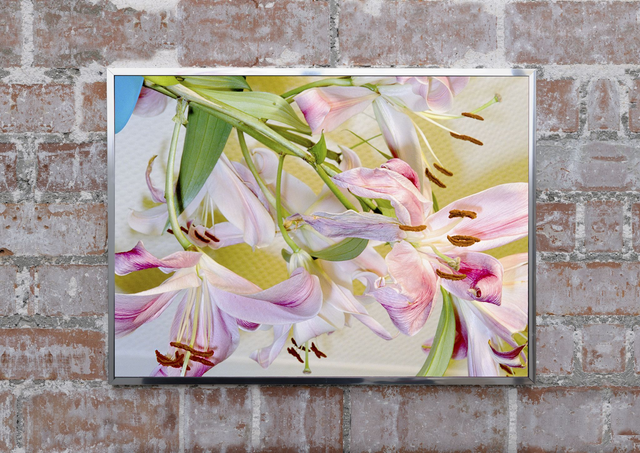 Morgan Courtois, Disorder