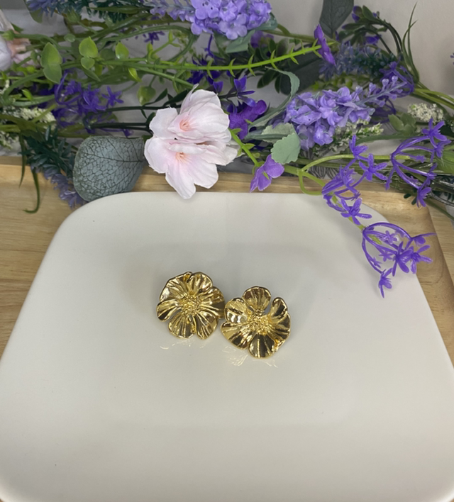 Ali boucle d’oreille 