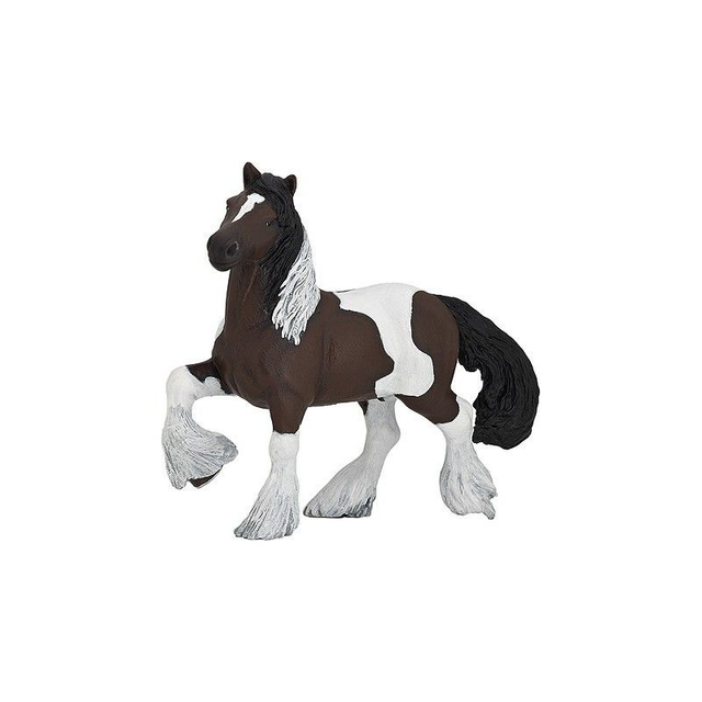 COB IRLANDAIS BAI PAPO