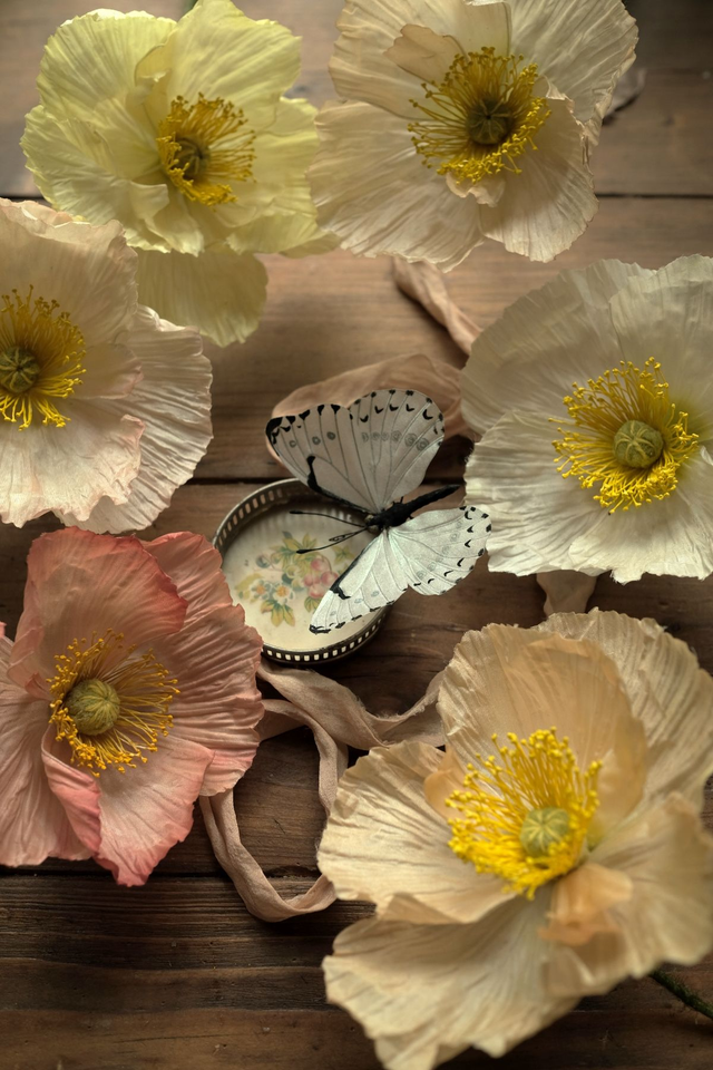 Iceland poppy Materials pack