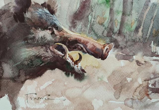 Odyniec, 24x30 (15x21 w świetle passe-partout) akwarela