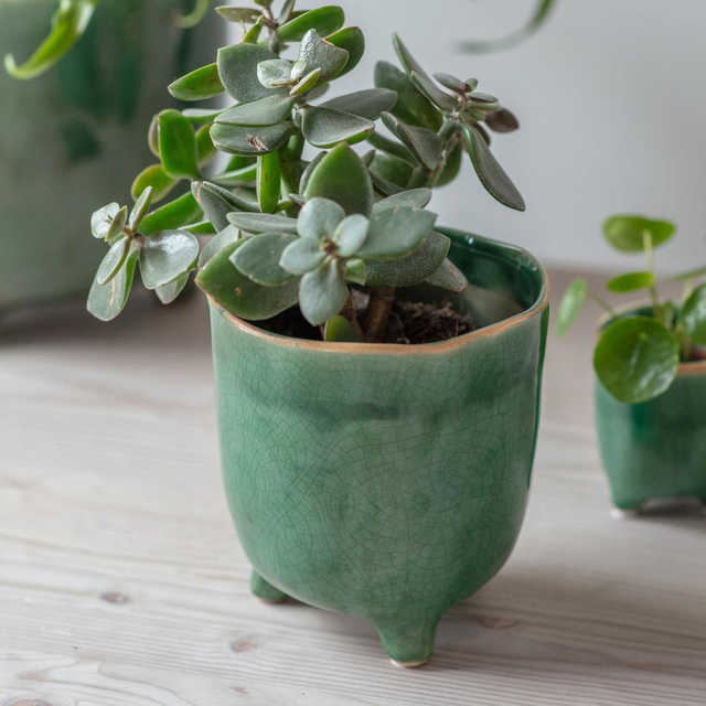 Forest Green Pot