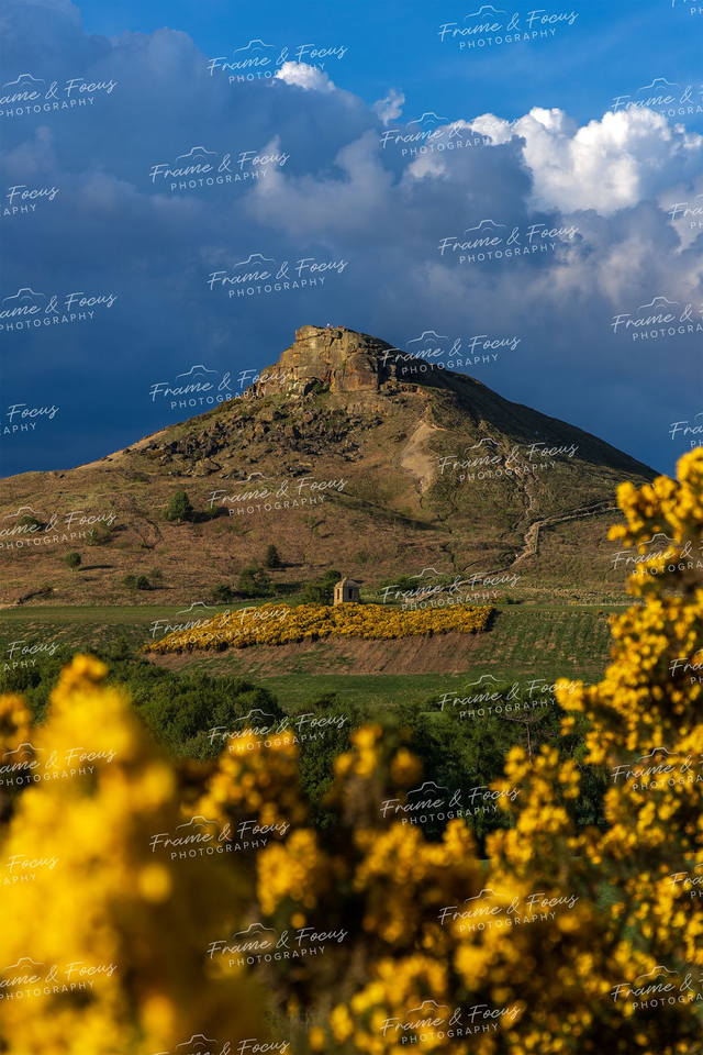 Gorsegous, Roseberry Topping