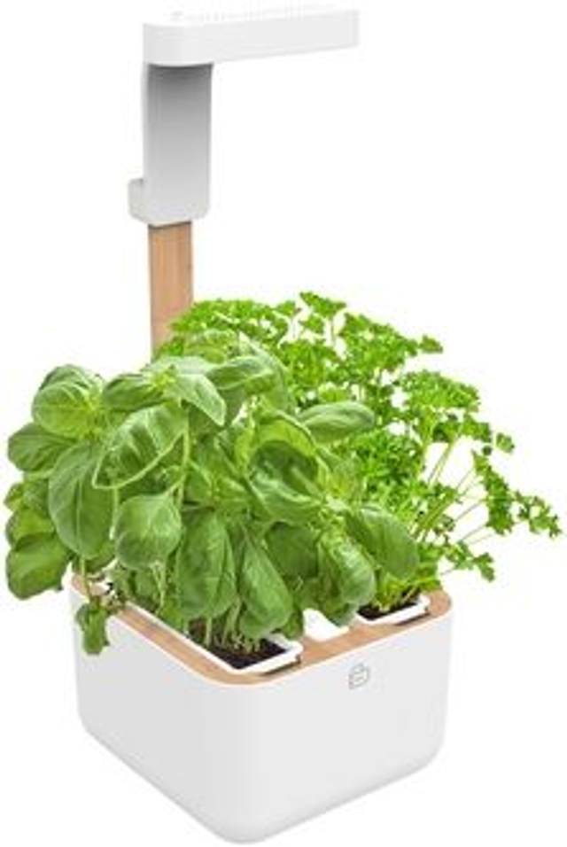 Véritable Botaneo EYLO Indoor Garden