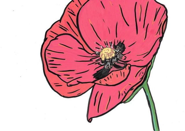 A4 print - The Poppy