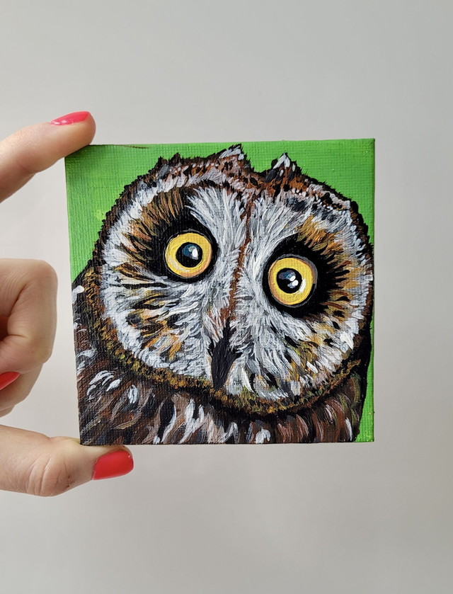 Original Mini Canvas Painting – Owl Close Up Startled Face
