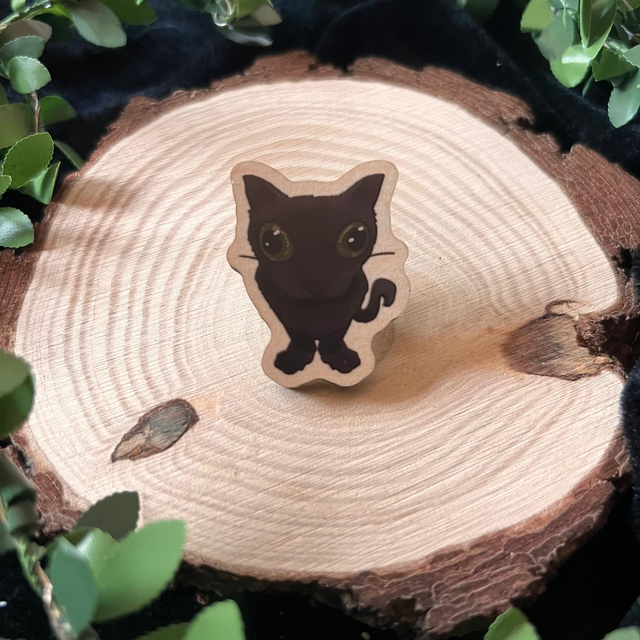 Pin gatos - gato jinx