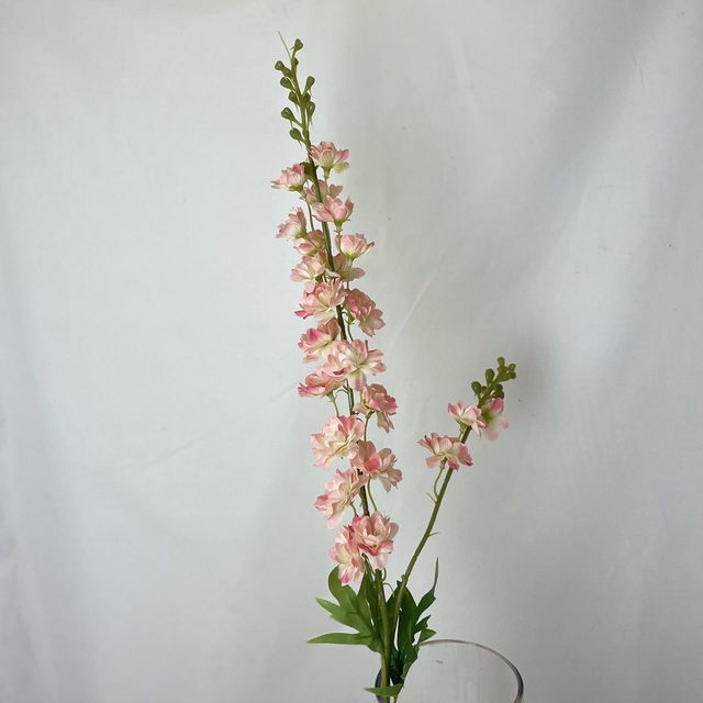 Double Delphinium Spray