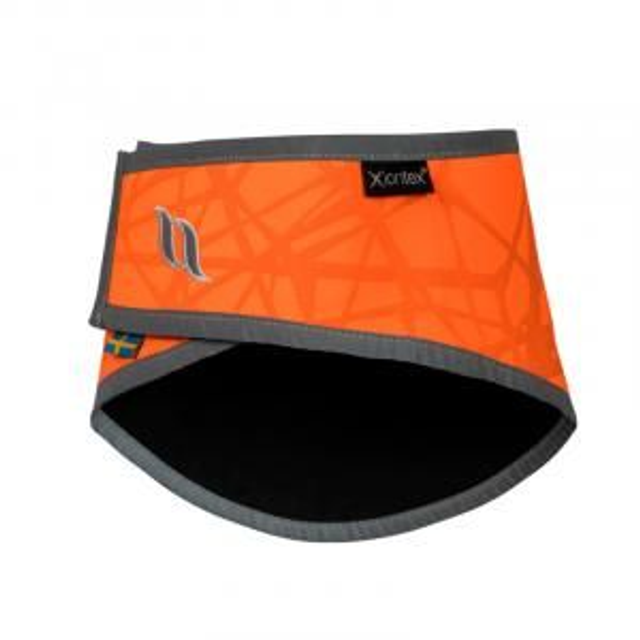 Back on Track Draco Koiran huomiohuivi, oranssi