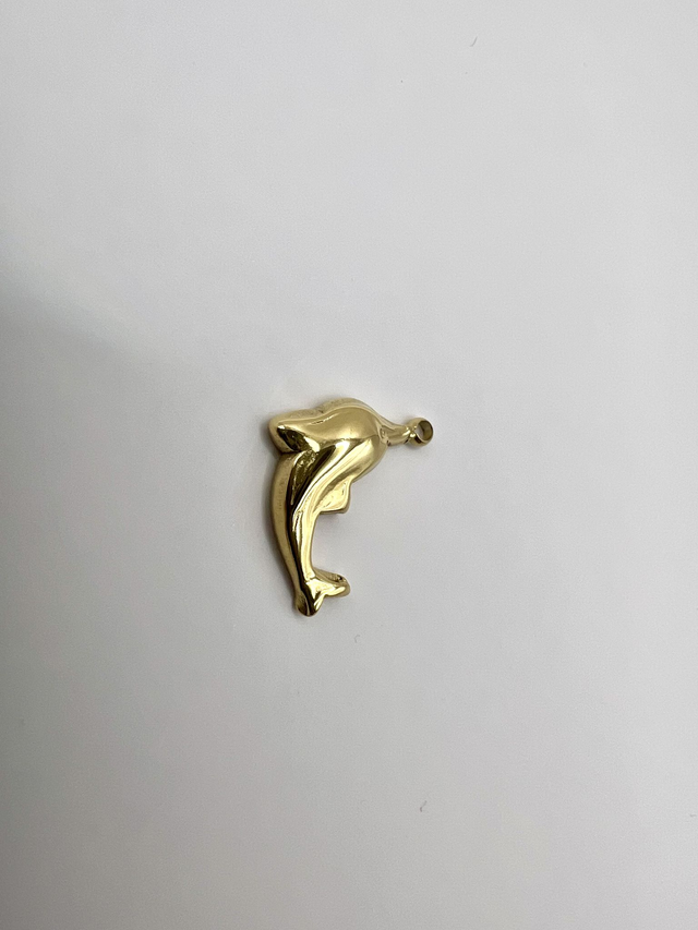 Dolphin charm