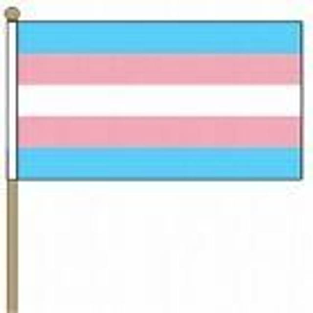 9"x6" Flag (handheld)