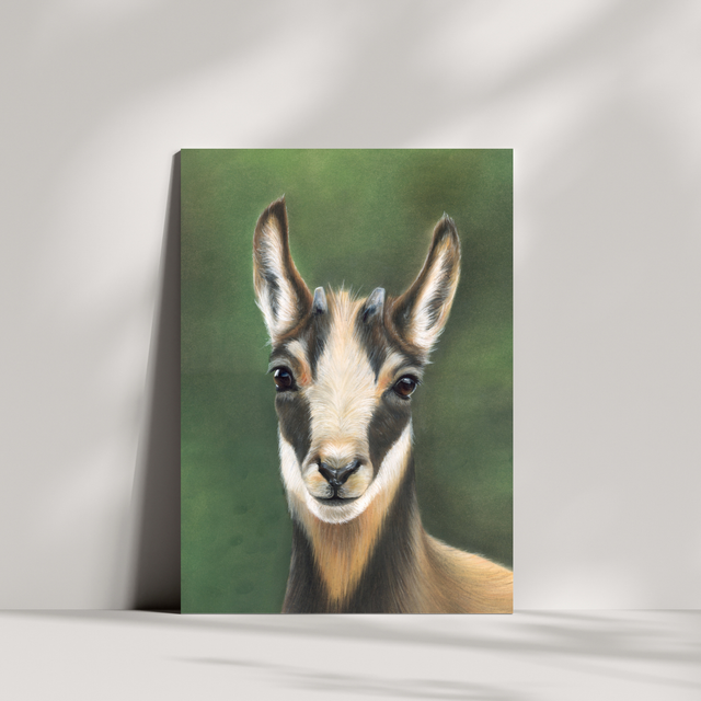 Carte de vœux - Chamois N°5