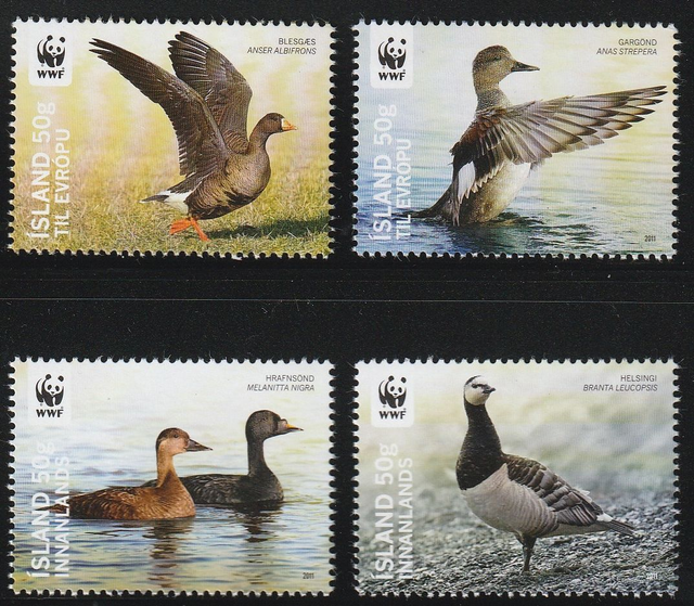 Iceland 2011 WWF Birds,Ducks set MNH