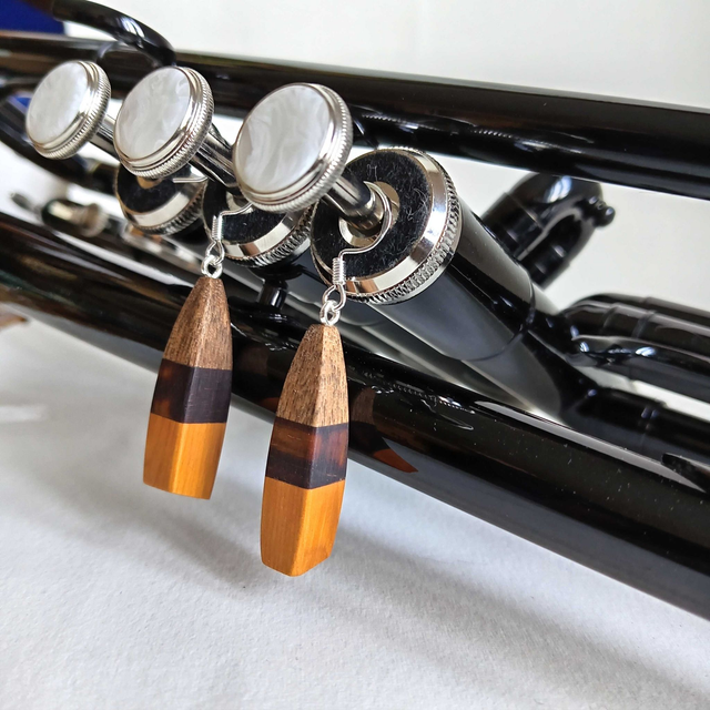 Boucles d'oreilles tricolores
