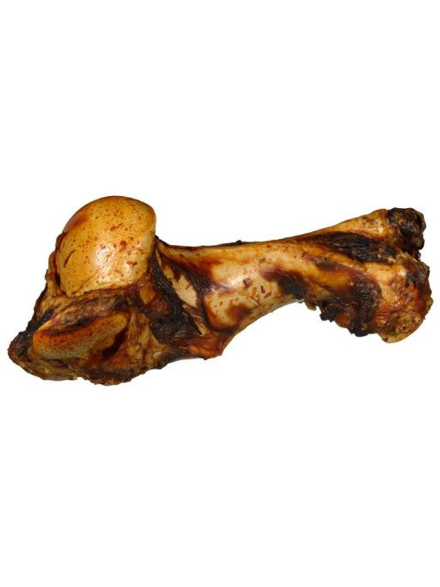 Os géant fémur de boeuf 1kg