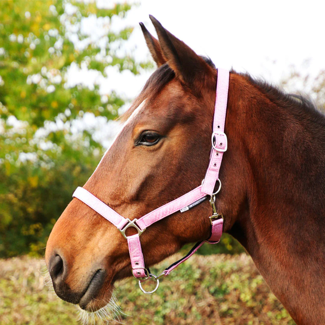 HY Glitter Head Collar - PINK - PONY