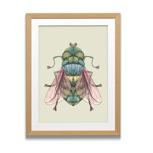 Art Print - Floral Bugs - House Fly illustration