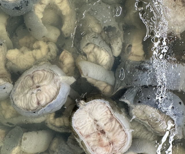 3.2kg Bowl Jellied Eels