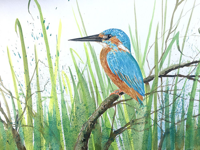 Colourful kingfisher 20th March 2026 watercolour workshop at BYLEY