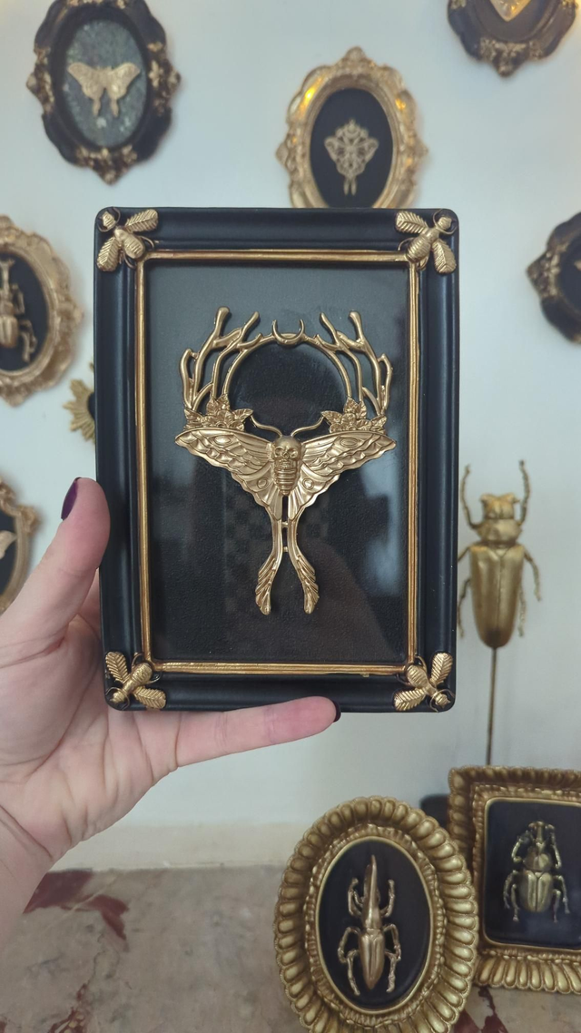 Cadre rectangulaire noir et doré - papillon de nuit tête de mort 