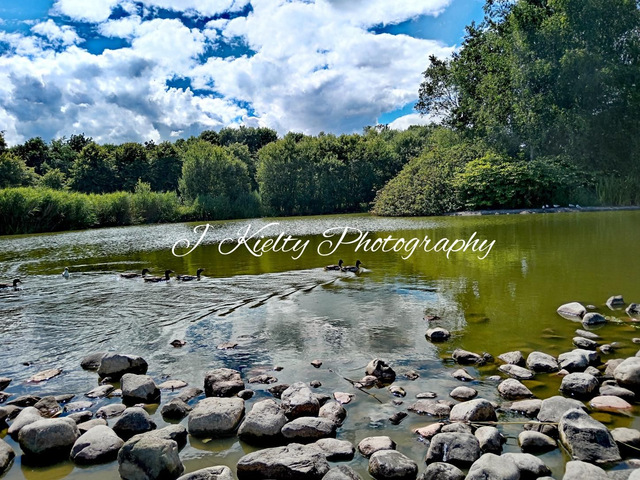 The Pond, Roscommon town, County Roscommon. 