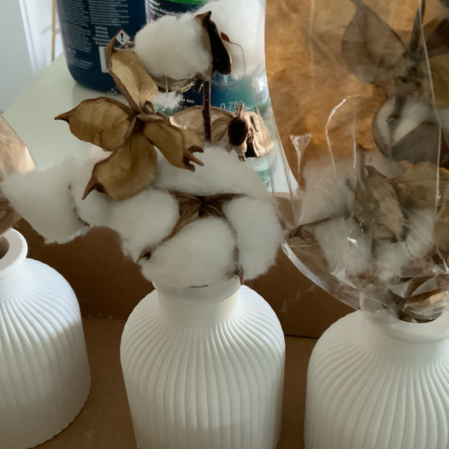Vase mit Baumwolle