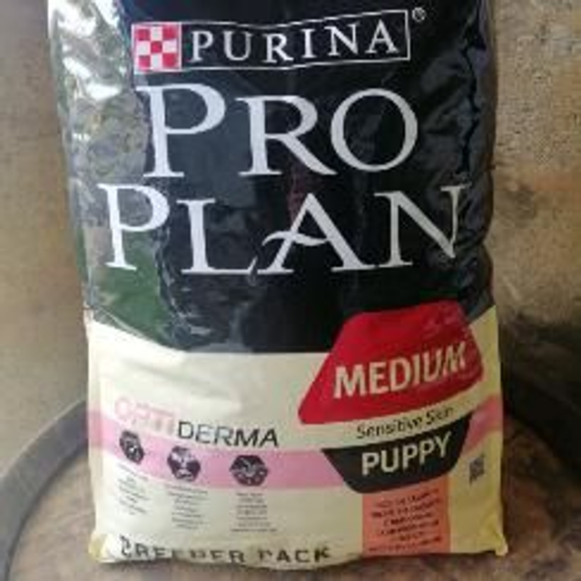puppy medium 18kg saumon