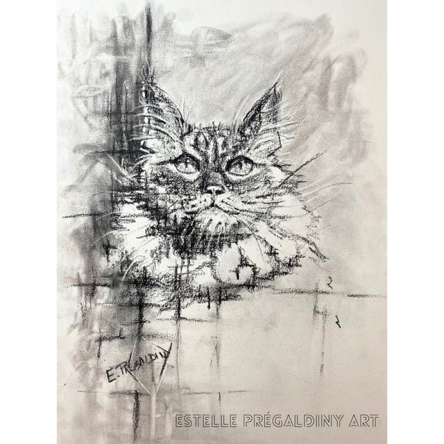 « CHAT’rcoal », Fusain Charcoal 