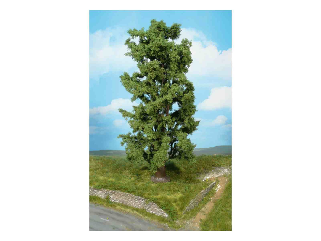 érable de roche 30cm Heki 1742