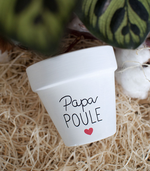 Cache pot / pot en terre cuite : Papa Poule