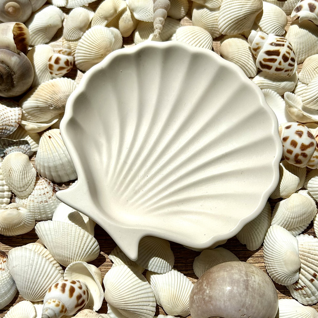 Coquille saint Jacques 