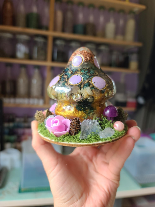 Maison champignon🍄Au clair de lune🌙 