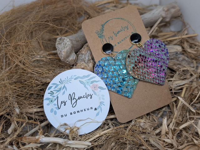 Boucles Coeur ❤️ multicolore c1003