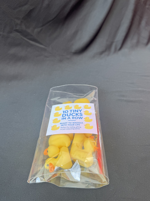 10 Tiny Ducks