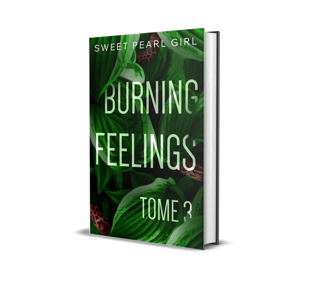 Burning Feelings 3 (Edité chez HEA)