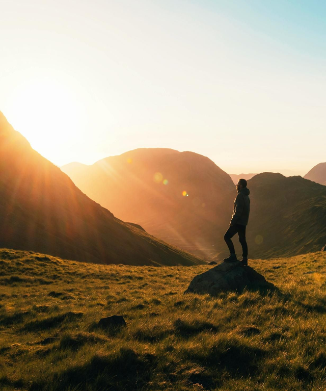 Clarté d’esprit - Nature de pin