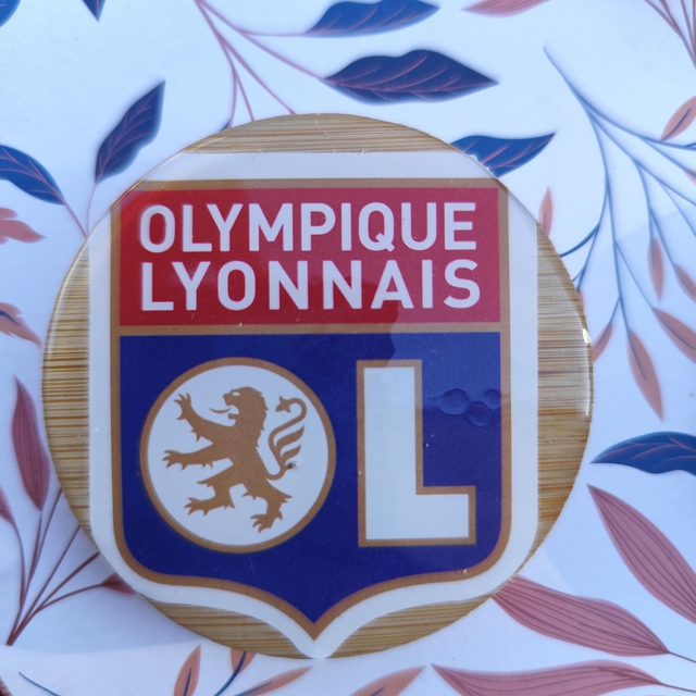 Décapsuleur magnétique club de foot O.L