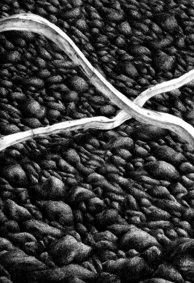 Carbon-149, rampant n°2