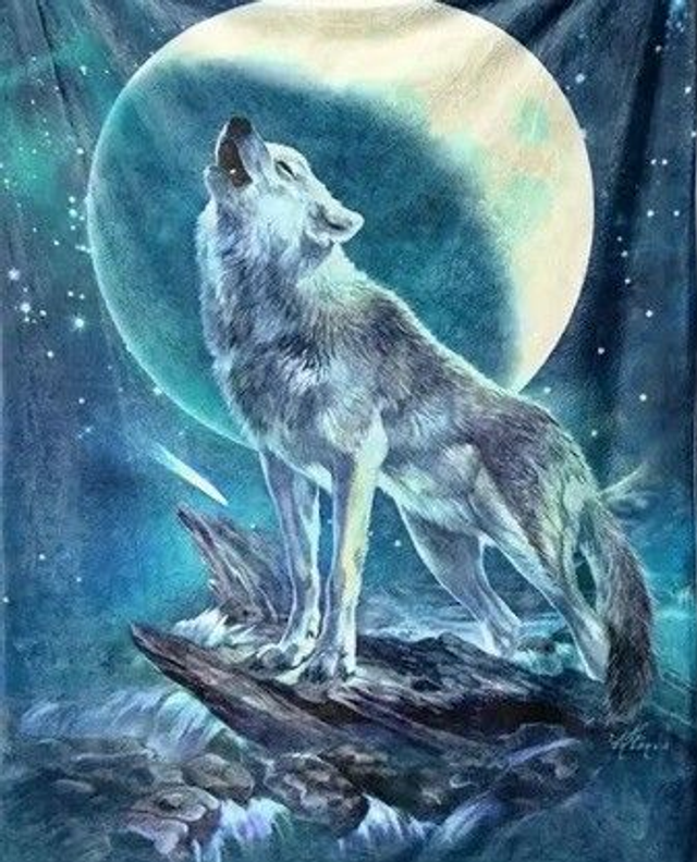 Loup lune couverture 150 cm x 200 cm