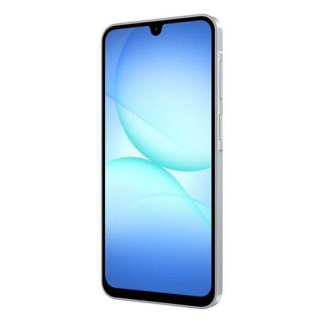 Samsung A17 128 Go 5G Gris 